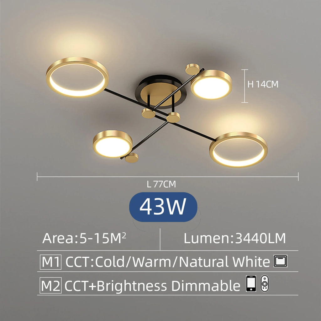 HaloLux Pendant Light